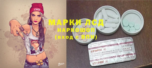 эйфоретик Майский