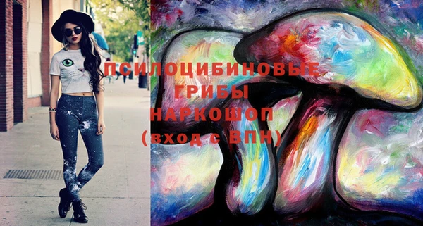 эйфоретик Майский